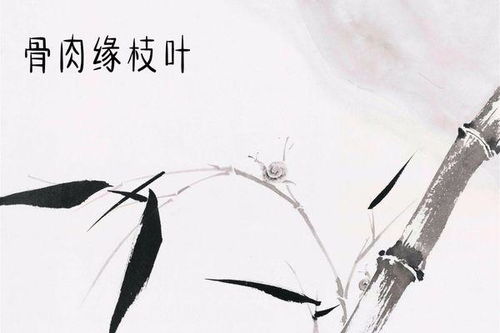 詩(shī)句中含有數(shù)字的古詩(shī)6