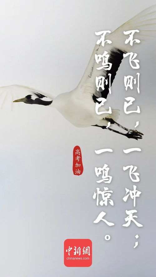關(guān)于準(zhǔn)備的古詩(shī)句,準(zhǔn)備大干一場(chǎng)的古詩(shī)句,做好提前準(zhǔn)備的古詩(shī)句