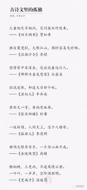 關(guān)于孤獨(dú)的文章詩(shī)句