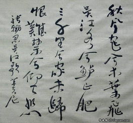 關(guān)于思鄉(xiāng)的一句詩(shī)句是什么