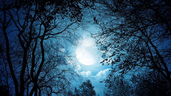 一個人夜晚喝酒的詩句,形容一個人夜晚孤獨(dú)的詩句,夜晚想念一個人的詩句