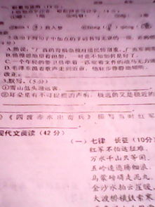 詩句,品德,體現(xiàn)