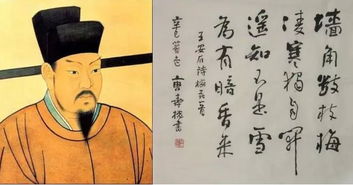 有關(guān)于王安石的詩句