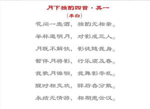 古詩里有關漂亮衣服的詩句