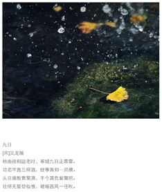 關(guān)于秋雨的詩句的古詩詞