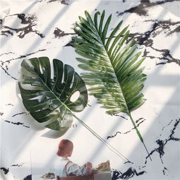 關(guān)于芭蕉的古詩句