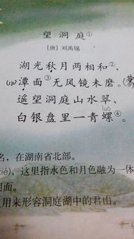 包含植物的古詩句有