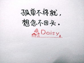 孤獨不將就古詩句