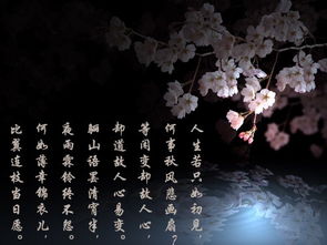 詩句,珍惜