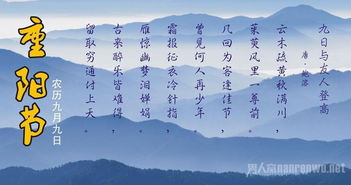 重陽(yáng)節(jié),古詩(shī),句子