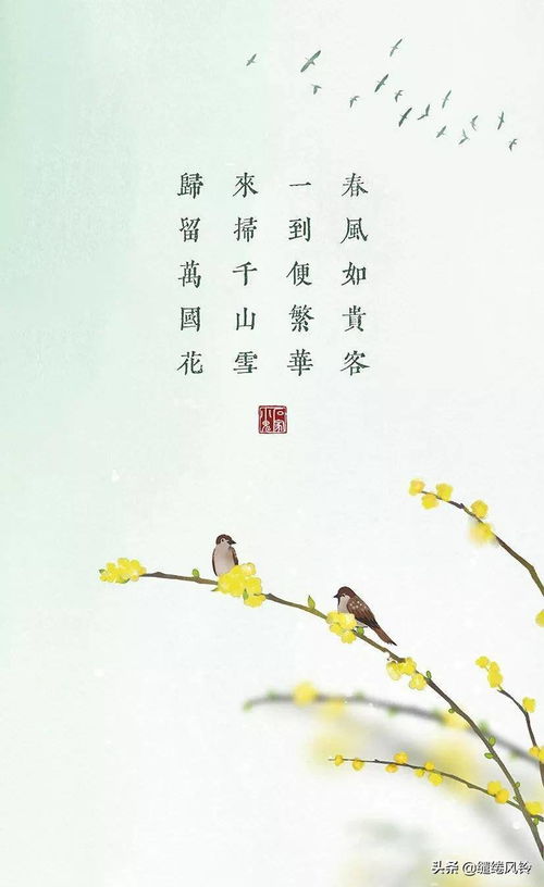 有關(guān)花的詩(shī)句古詩(shī)大全,描寫花的詩(shī)句古詩(shī)大全,秋天關(guān)于花的詩(shī)句古詩(shī)大全