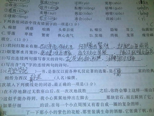連續(xù)兩句描寫(xiě)日的古詩(shī)句