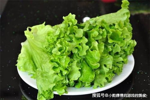 關(guān)于生菜的詩句