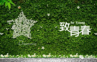 描寫青春的優(yōu)美詩句,青春的現代優(yōu)美的詩句摘抄,關于青春奮斗的優(yōu)美詩句