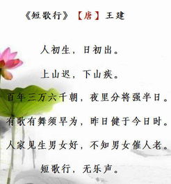 感恩孩子來到我身邊的詩句,感恩孩子的陪伴經(jīng)典詩句,感恩妻子生孩子的詩句