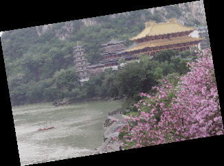 關(guān)于九月紫荊花的詩(shī)句