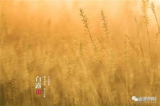 美好風景的古詩句