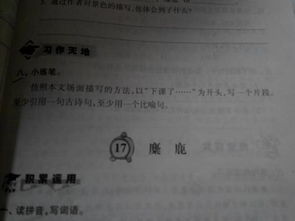 古詩(shī)句開頭句段