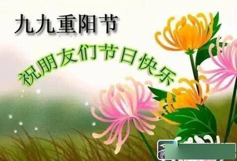 關(guān)于愛的詩句或名言,關(guān)于愛讀書的詩句,關(guān)于愛勞動的詩句