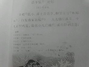 寫(xiě)風(fēng)的詩(shī)句古詩(shī)五級(jí)