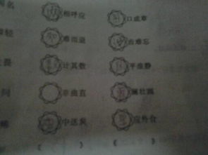 首字是馬的古詩句