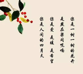 詩句,初見,表達(dá),美好