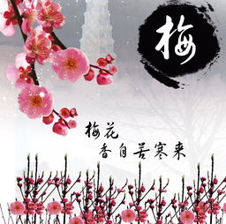 雪與梅的詩(shī)句古詩(shī)