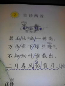 詩句,贊美,課堂