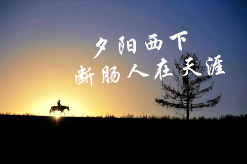 最孤獨(dú)的人猜古詩句