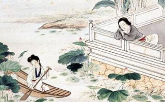 如夢令醉酒的詩句,如夢令詩句的意思,如夢令詩句賞析