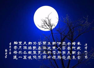 月及思念的詩句古詩