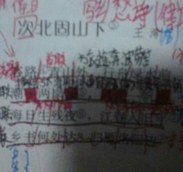 古詩句及作者
