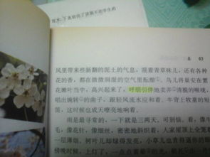 關(guān)于春的詩句和四字詞語