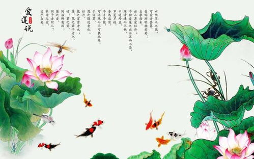 有關魚的詩句古詩