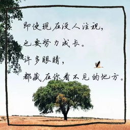 揚(yáng)帆,起航,詩(shī)句,放飛