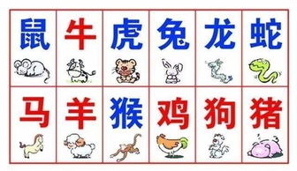 詩句,生肖