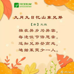 秋韻的古詩句