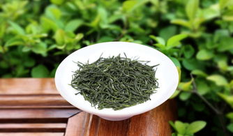 關(guān)于信陽毛尖茶詩句