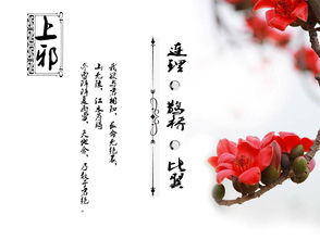 有關(guān)于憐憫的古詩句