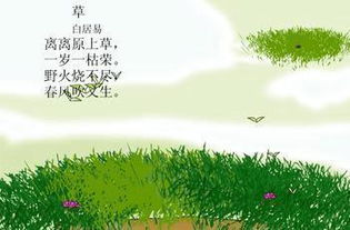 描寫植物的古詩句6