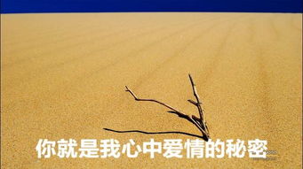 祝你,詩句,幸福