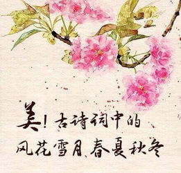 詩句中有詩卉的古詩詞