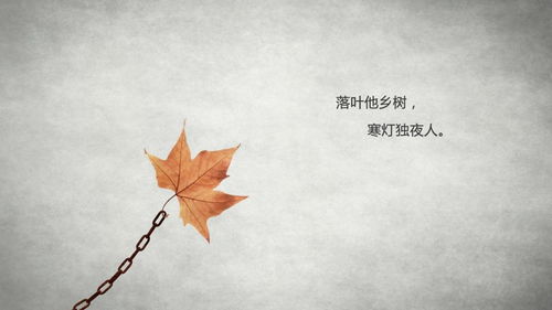 關(guān)于一人孤獨(dú)喝酒的詩(shī)句