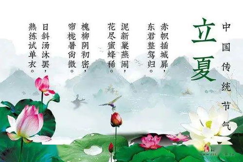 古詩,詩句,時(shí)節(jié),美好