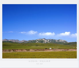關(guān)于大草原風(fēng)光的詩句