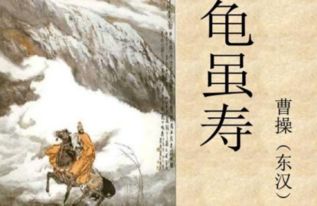 描寫(xiě)頑強(qiáng)拼搏古詩(shī)句