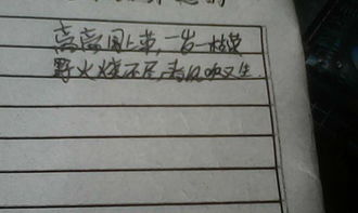 古詩帶柳字的詩句,古詩中含柳的詩句有,柳的詩句古詩