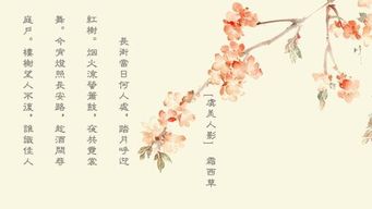 詩句,于月