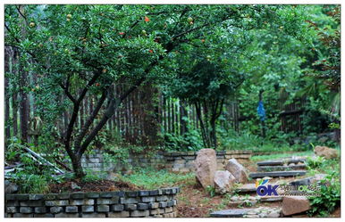 關(guān)于農(nóng)家山莊的詩句