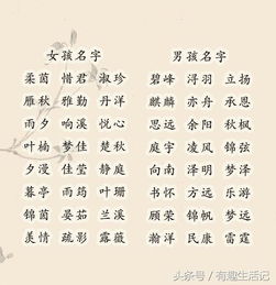 古詩(shī),句子,好聽